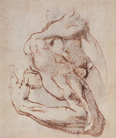 Study of an Arm by Michelangelo Buonarroti